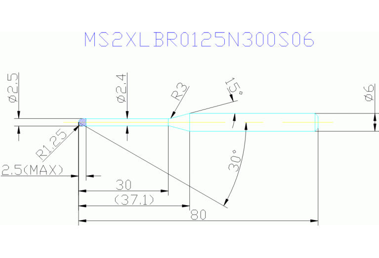 MS2XLBR0125N300S06
