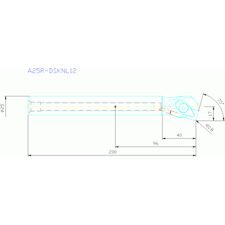 A25R-DSKNL12