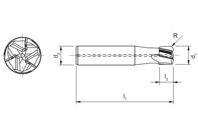 SHM101-1600CZ03R-R0300HA-PU622
