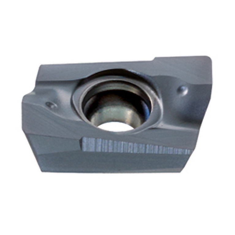 BODT09T304R-001 IN2504