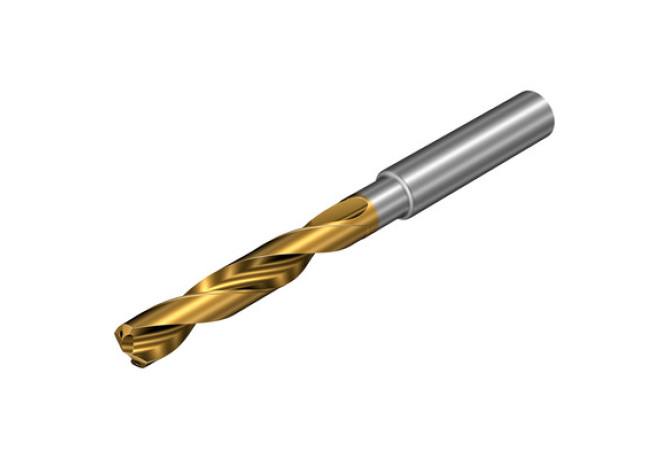 860.1-0910-045A1-PM P1BM