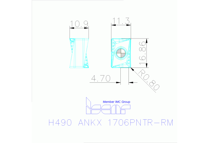 H490 ANKX 1706PNTR-RM IC830