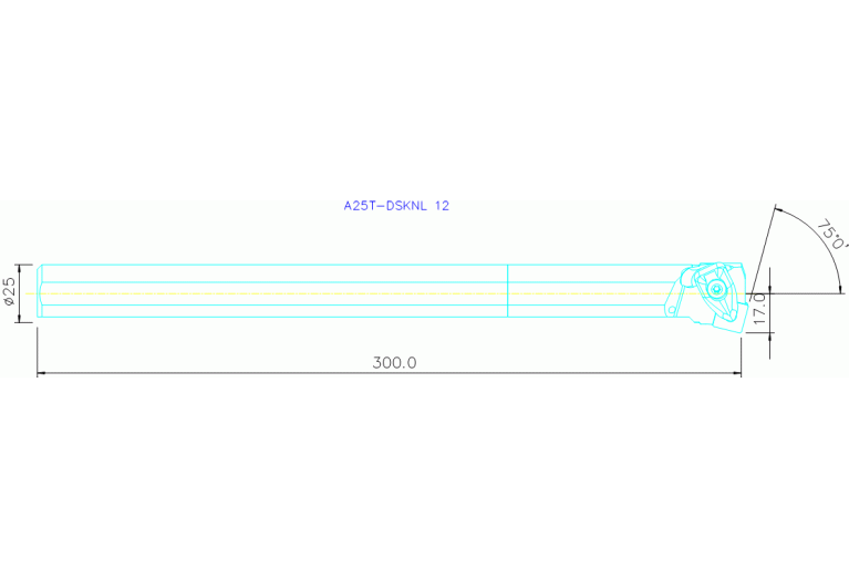 A25T-DSKNL 12