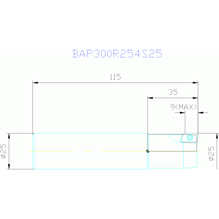 BAP300R254S25