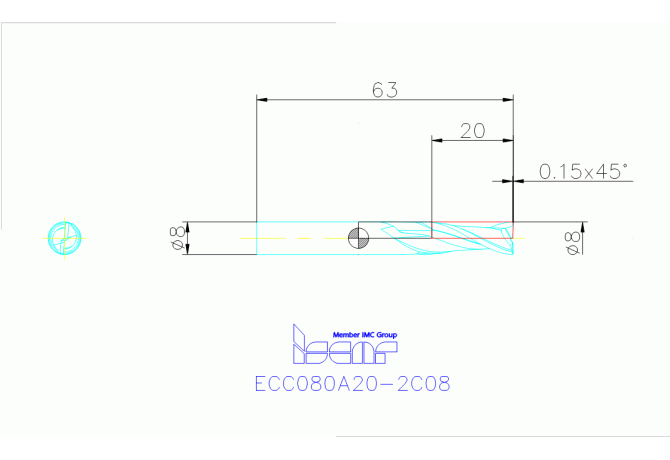 ECC080A20-2C08 IC300
