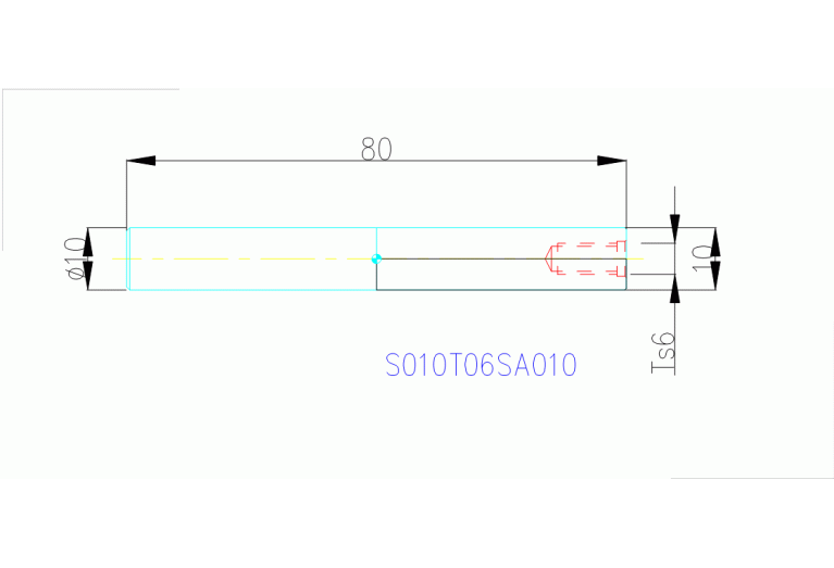 S010T06SA010