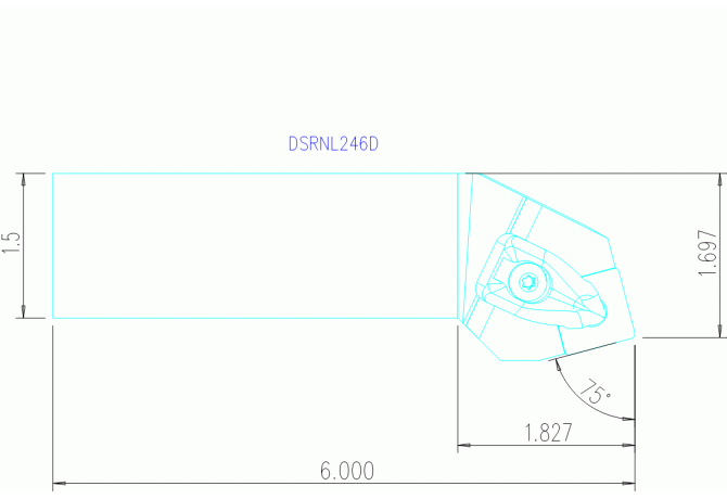 DSRNL246D