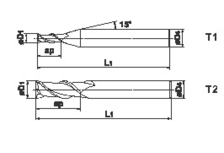 SEE2039S
