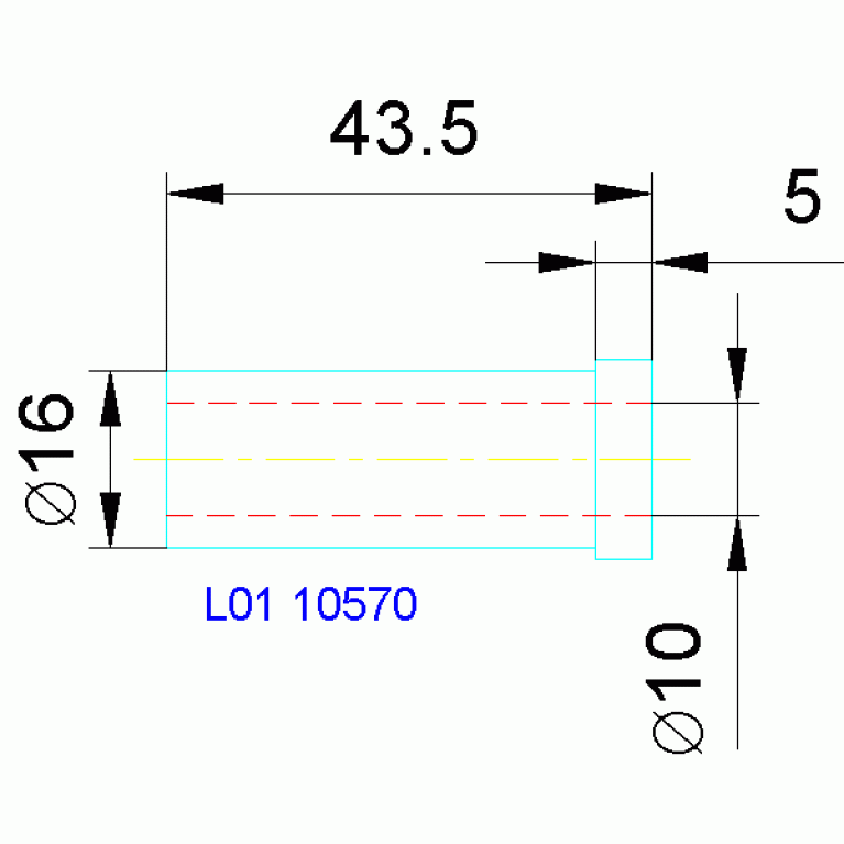 L01 10570