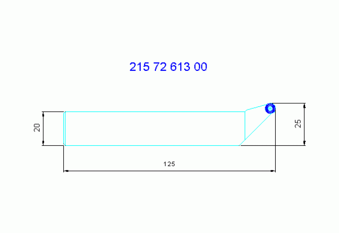 12157261300