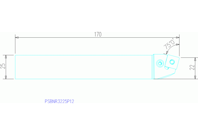 PSBNR3225P12