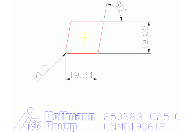 250383 CA510