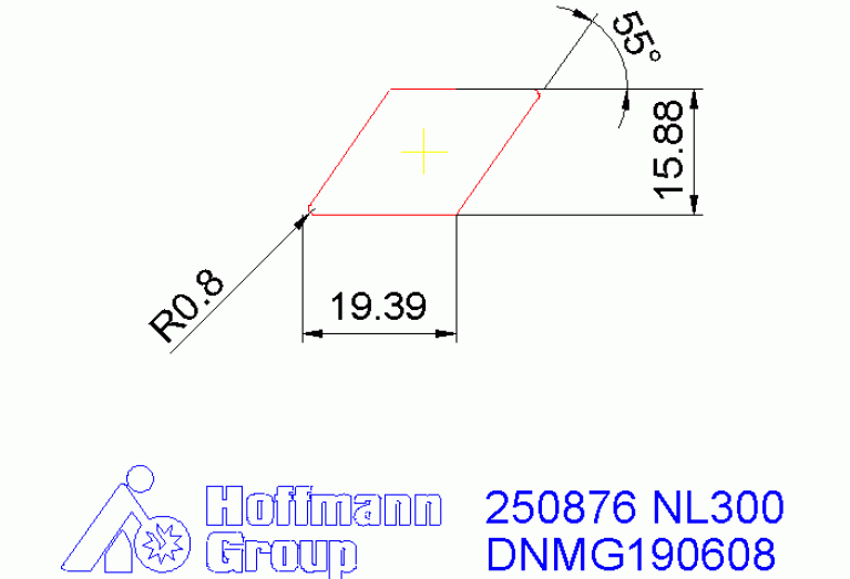250876 NL300