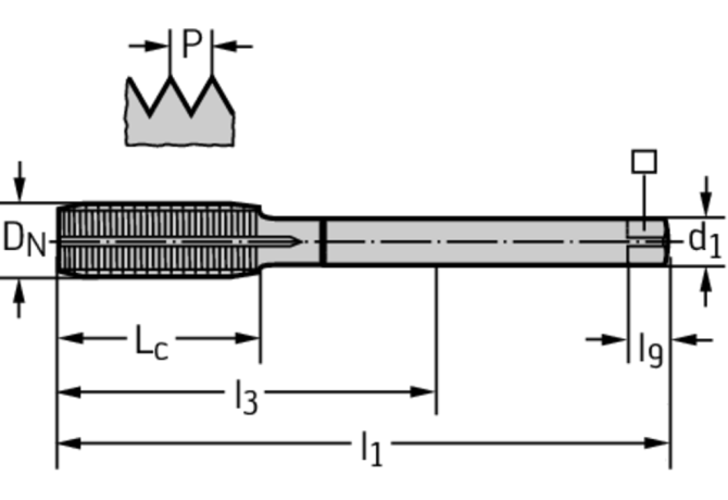 DP2166705-M8X0.75