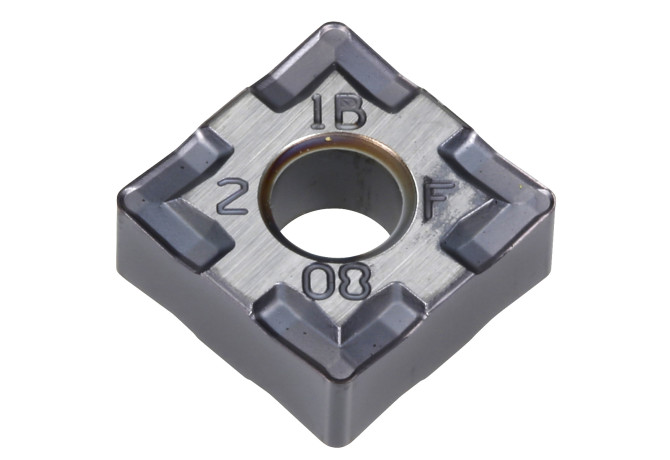 251154 SP0819