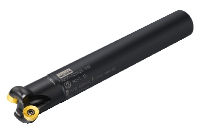 R200-020A25-12M