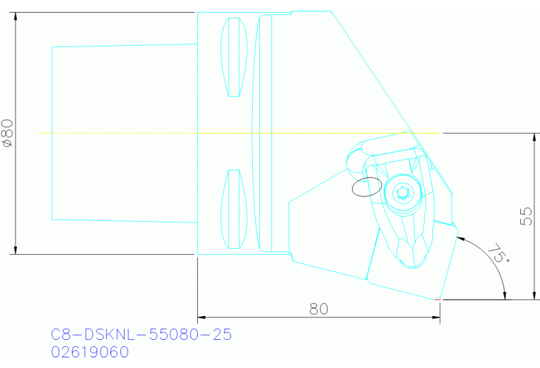C8-DSKNL-55080-25