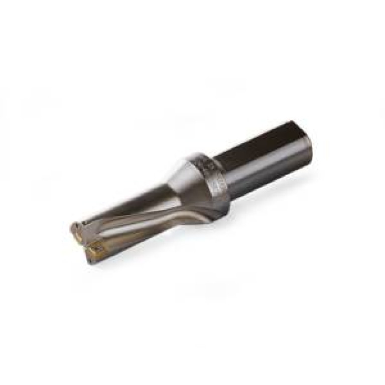 SD502-0875-175-1000R7-C