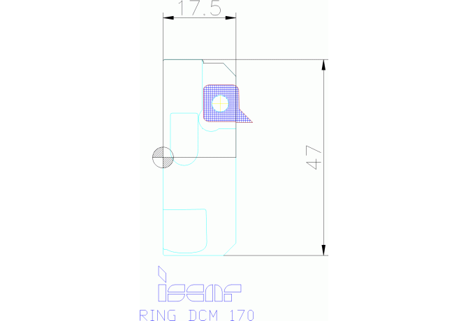 RING DCM 170