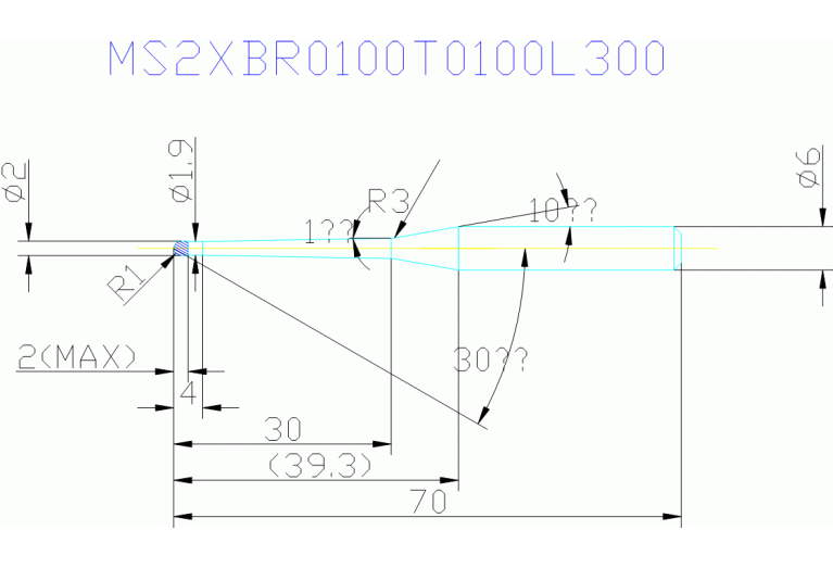 MS2XBR0100T0100L300