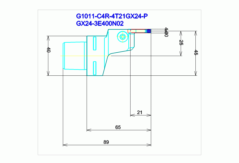 G1011-C4R-4T21GX24-P