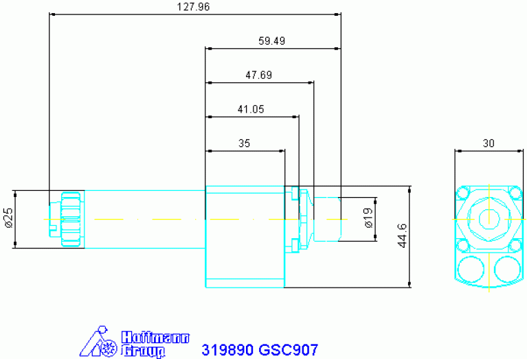 319890 GSC907