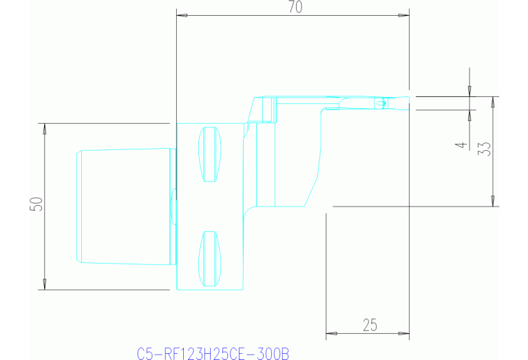 C5-RF123H25CE-300B