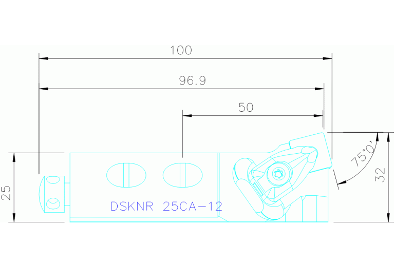 DSKNR 25CA-12