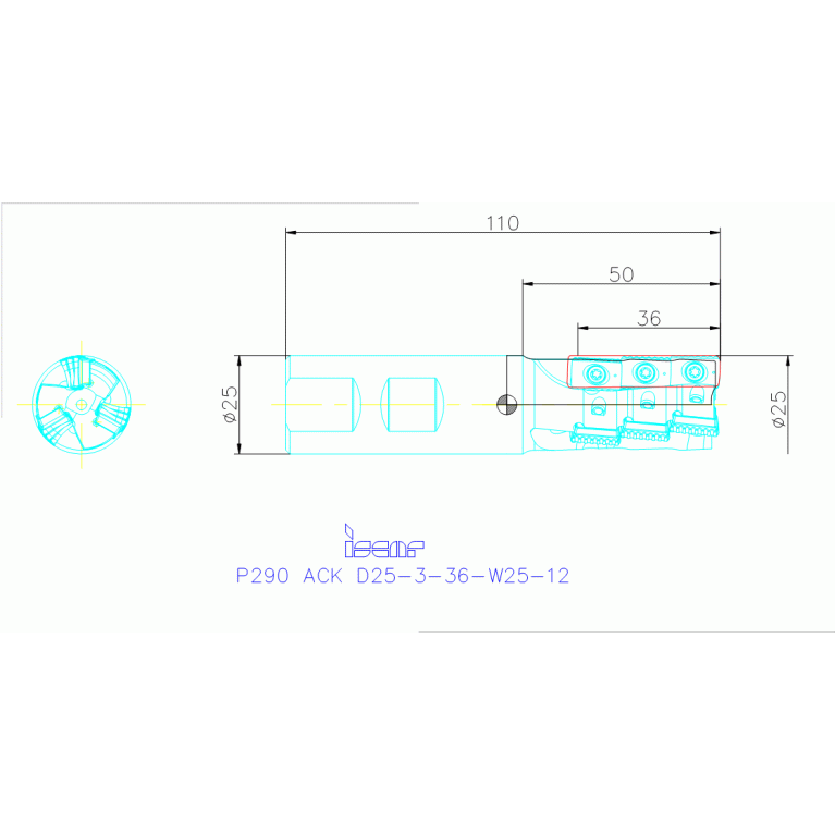 P290 ACK D25-3-36-W25-12