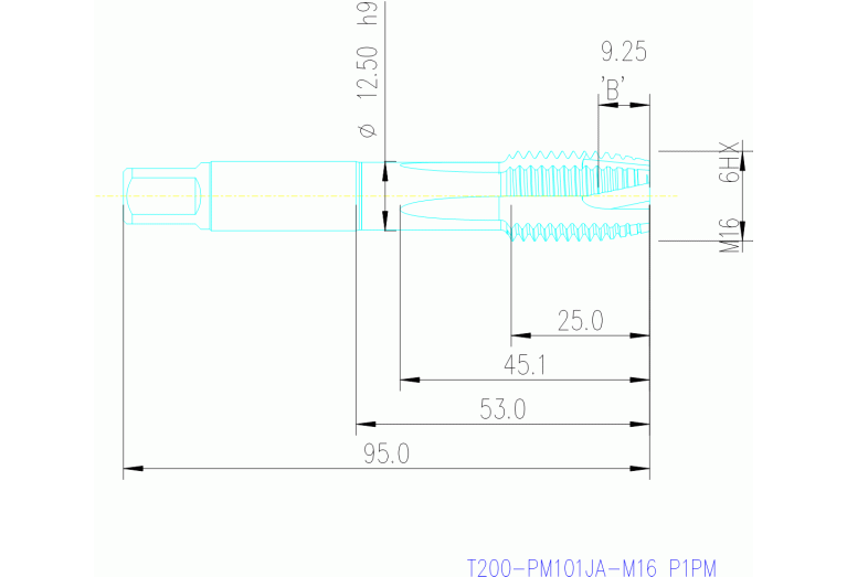T200-PM101JA-M16 P1PM