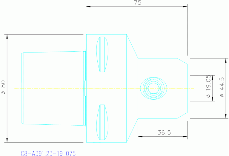 C8-A391.23-19 075