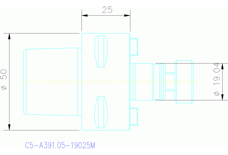 C5-A391.05-19 025M