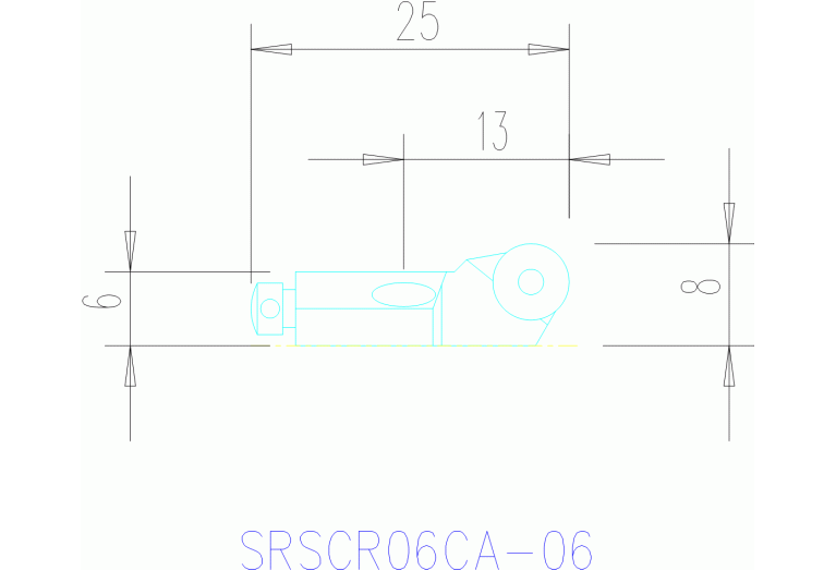 SRSCR 06CA-06