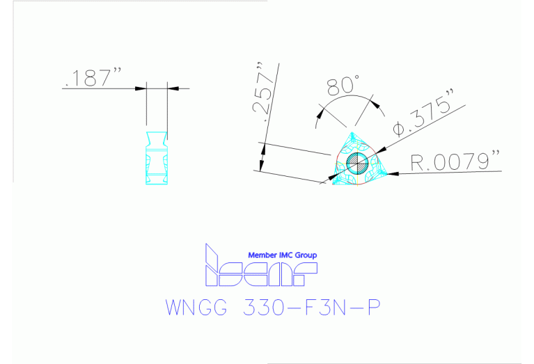 WNGG 060402-F3N-P IC20