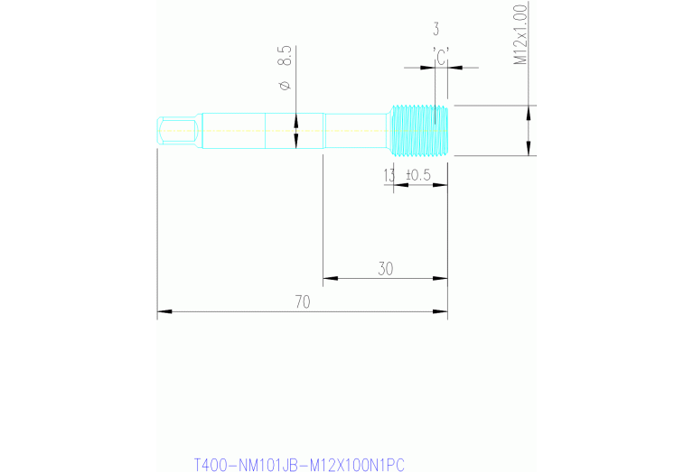 T400-NM101JB-M12X100N1PC