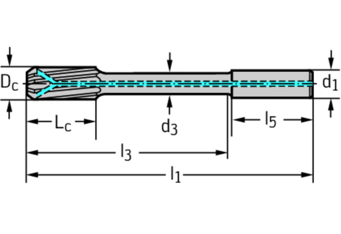F2481TMS-4.03
