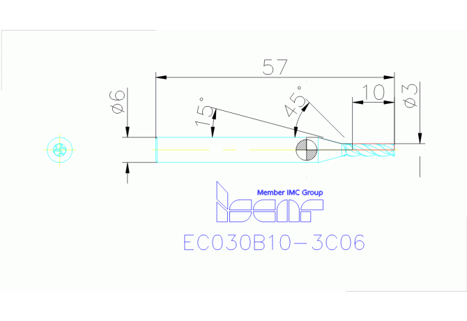 EC030B10-3C06 IC300