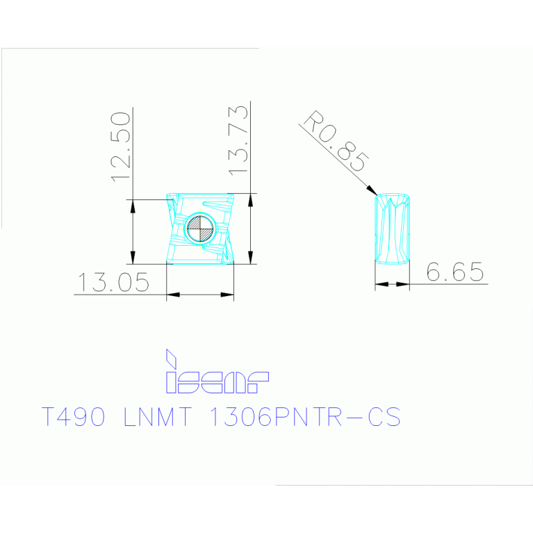 T490 LNMT 1306PNTR-CS IC810