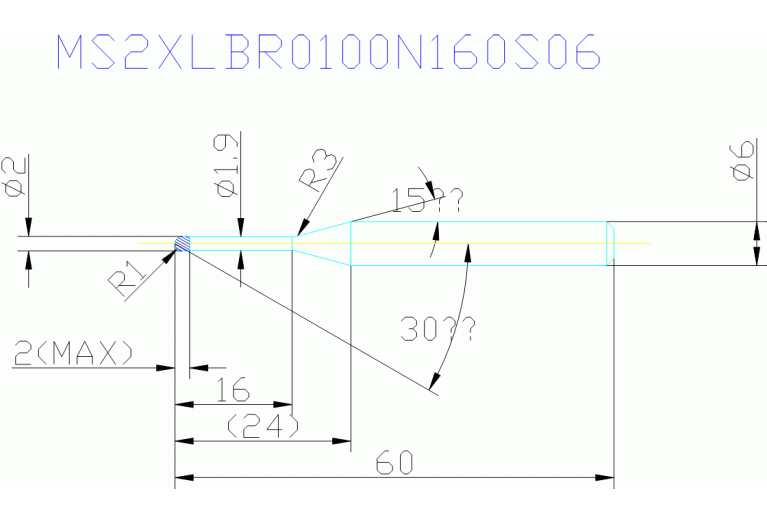 MS2XLBR0100N160S06