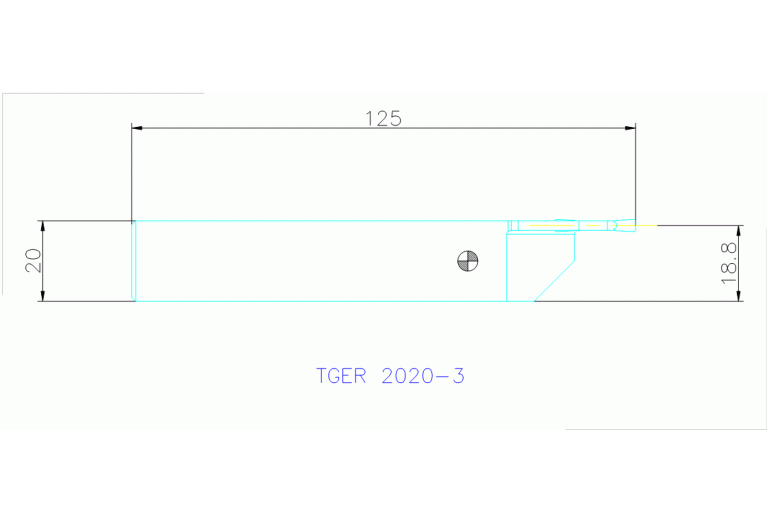 TGER 2020-3