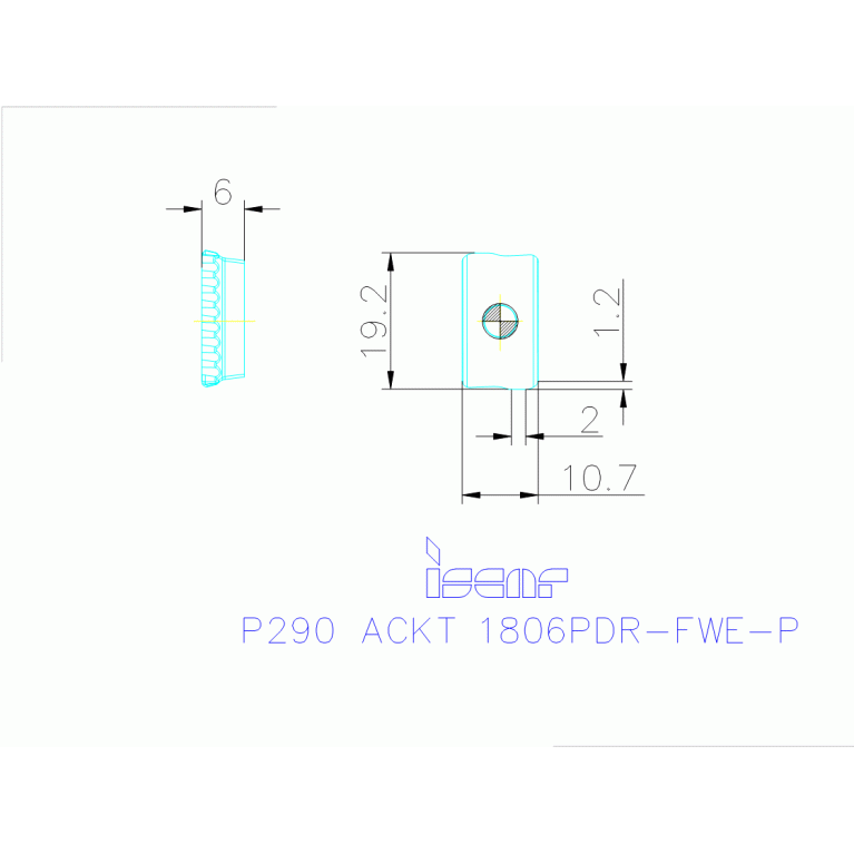 P290 ACKT 1806PDR-FWE-P IC28