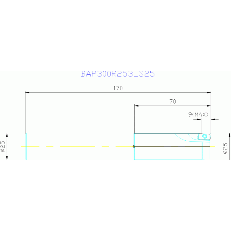 BAP300R253LS25