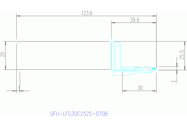 QFU-LFG30C2525-070B