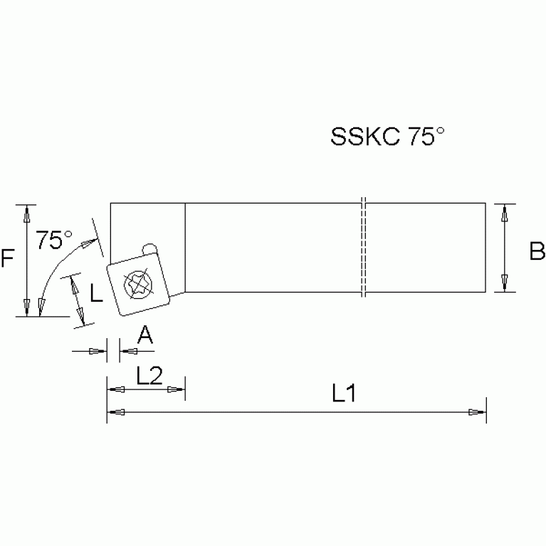 SSKCR2525M12