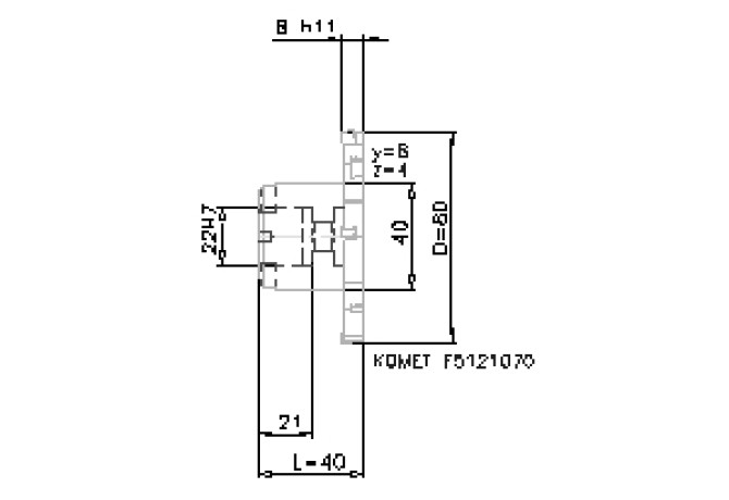 F51 21070