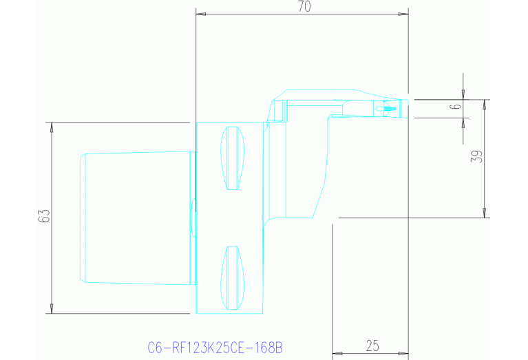 C6-RF123K25CE-168B