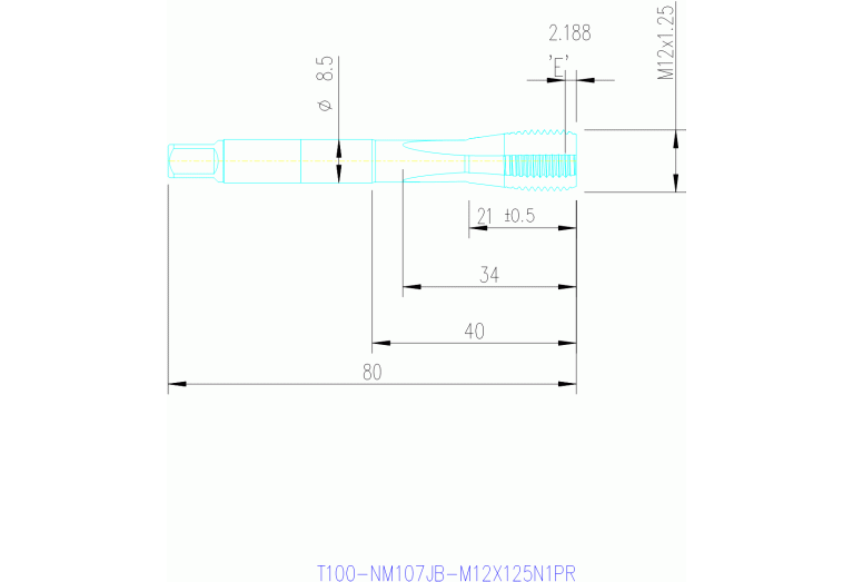 T100-NM107JB-M12X125N1PR