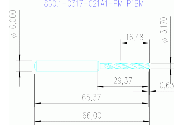 860.1-0317-021A1-PM P1BM