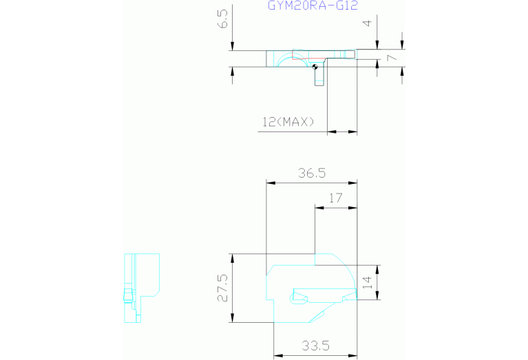 GYM20RA-G12