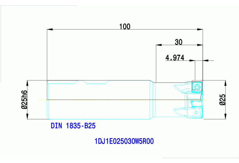 1DJ1E025030W5R00